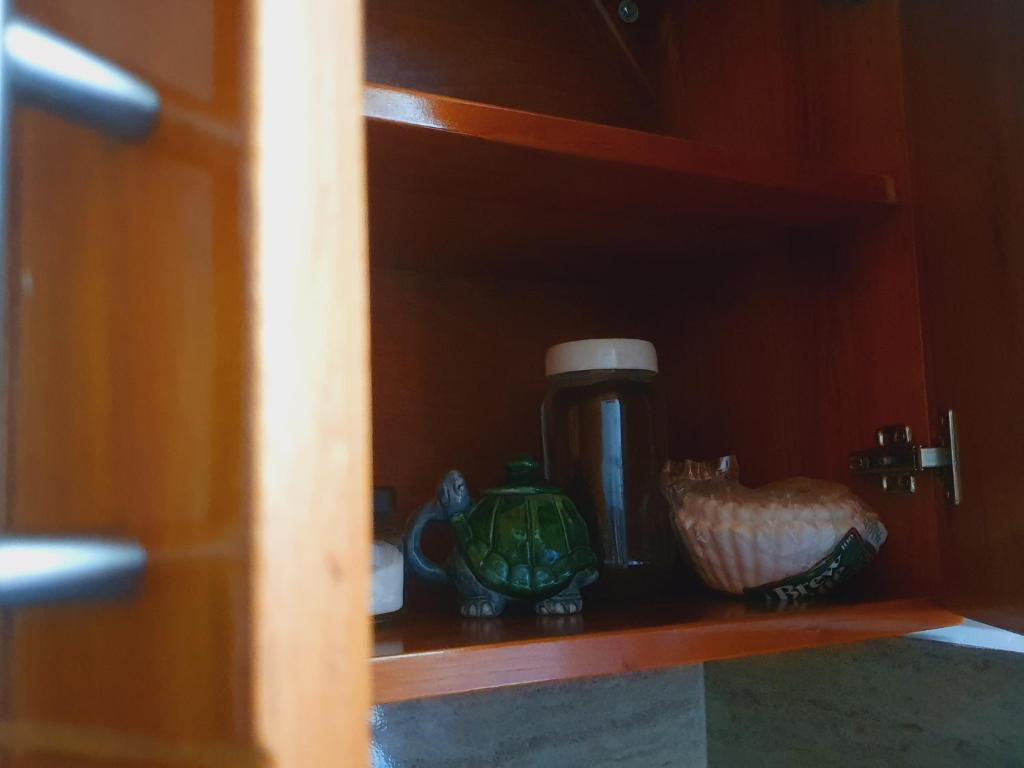 Suite Amoblada En Santa Cruz Puerto Ayora  Kültér fotó